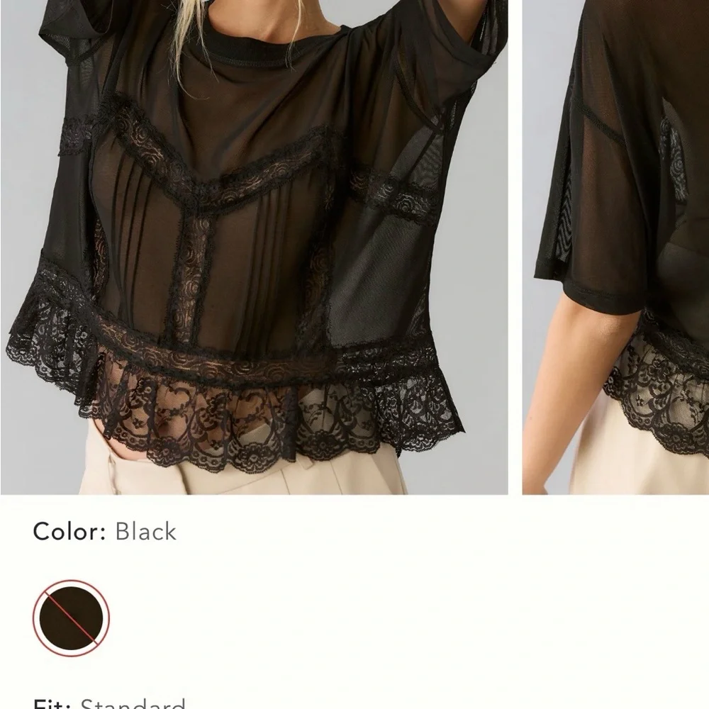Anthropologie Black Sheer Lace-Trim Mesh Top